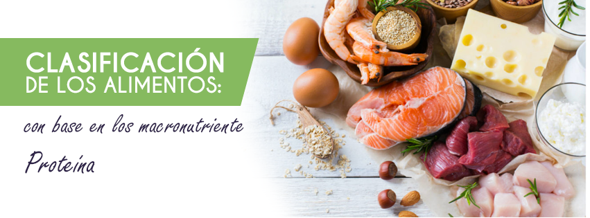 CLASIFICACIÓN-DE-LOS-ALIMENTOS-PROTEINA - Nutrición por tu salud