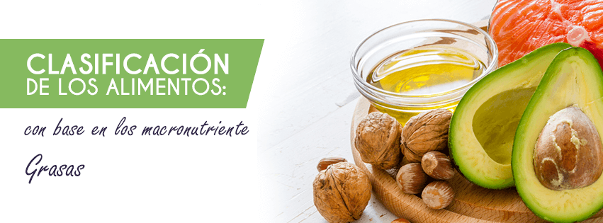 Clasificación de los alimentos energicos